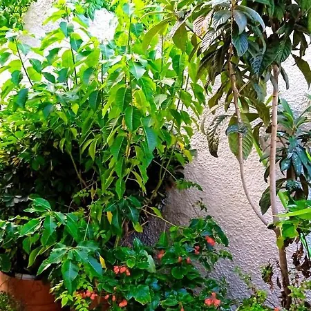 Vassilis Apartamento *