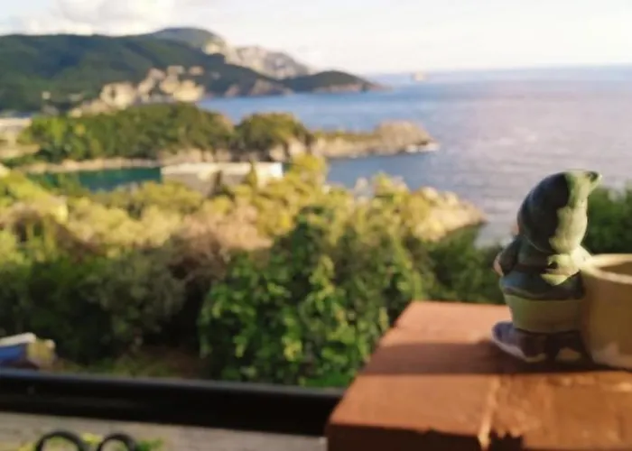 Vassilis Palaiokastritsa