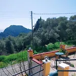 Vassilis
