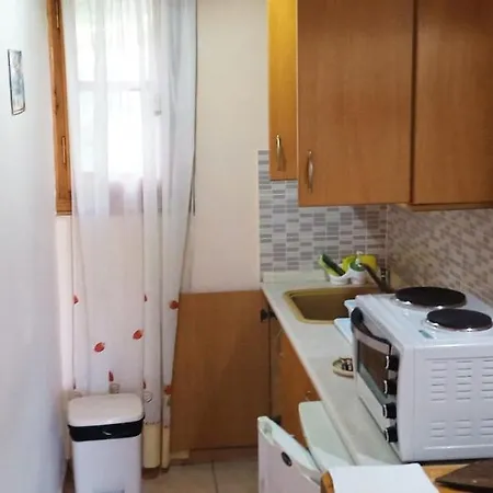 Apartment Vassilis *
