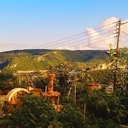Vassilis