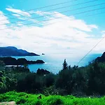 Vassilis *