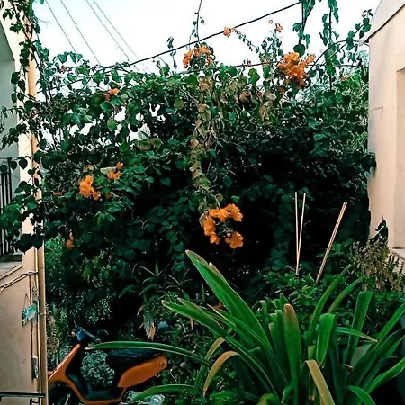 Vassilis Paleokastritsa